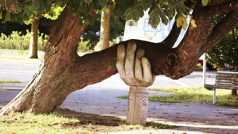 Foto av ett lutande träd som får stöd av en hand-skulptur.
