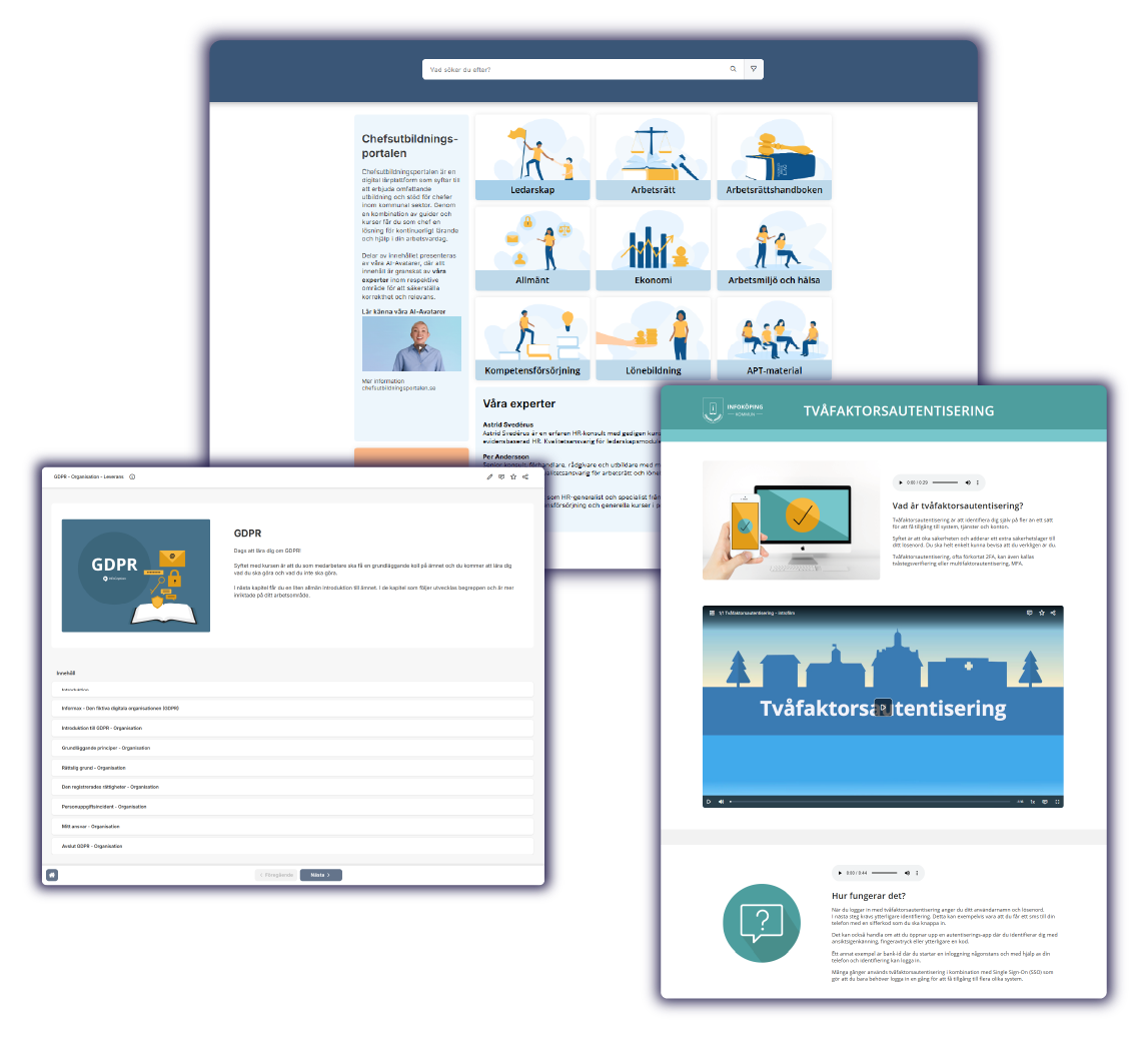 Screen shot_Solution-Public sector_4